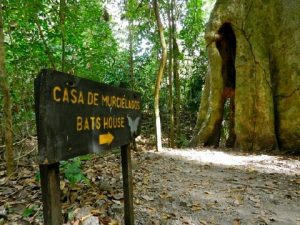 bat-cave-cabo-blanco-national-park-costa-rica